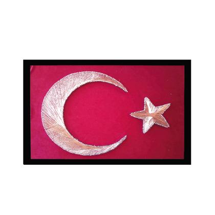 Türk Bayrağı